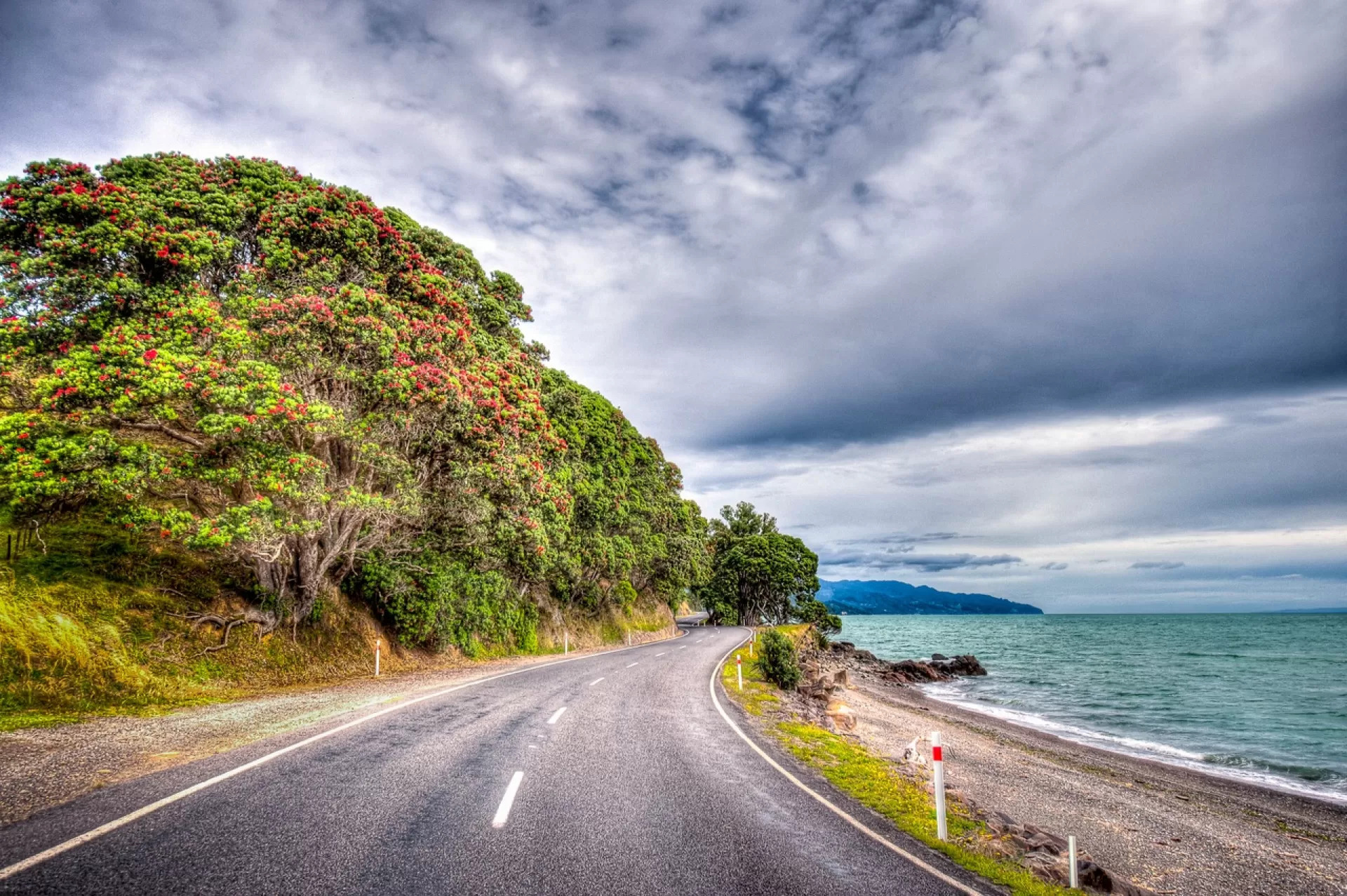 coastal road with hill on left that has tress flowering in red and blue sea on right with dramatic clouds in the sky