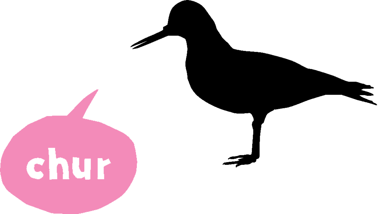 oystercatcher silhoutette with pink speech bubble 'chur'