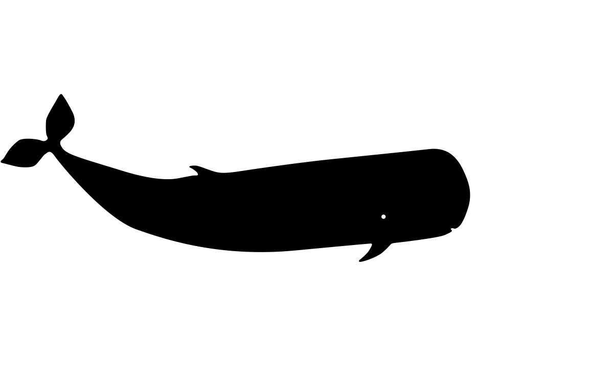 whale silhouette sorrounded by art tools as white outlines